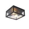QAZQA Industriële Plafondlamp Zwart IP44 2-lichts - Charlois -Tuinwinkel 10199766