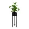 QUVIO Plantenstandaard Inclusief Pot - 22x22x75 Cm - Zwart - M -Tuinwinkel 10214657
