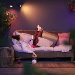 Philips Hue White & Color Ambiance Lily Spot 24V - Excl. Stroomadapter -Tuinwinkel 10275215