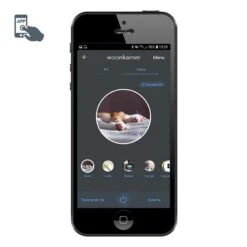 QAZQA Smart Vintage Buiten Wandlantaarn Brons Incl. Wifi A60 - -Tuinwinkel 10403319