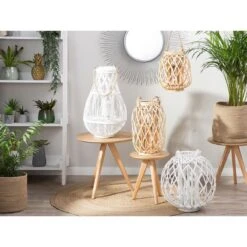 Tuinwinkel -Tuinwinkel 10546551