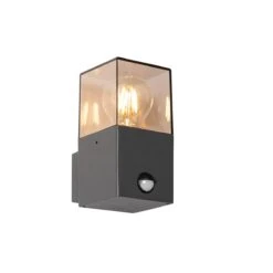 QAZQA Buiten Wandlamp Donkergrijs En Bewegingsmelder IP44 - Denmark -Tuinwinkel 10717804