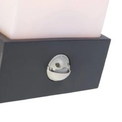 QAZQA Buiten Wandlamp Donkergrijs IP44 Bewegingssensor - Tide -Tuinwinkel 11250203