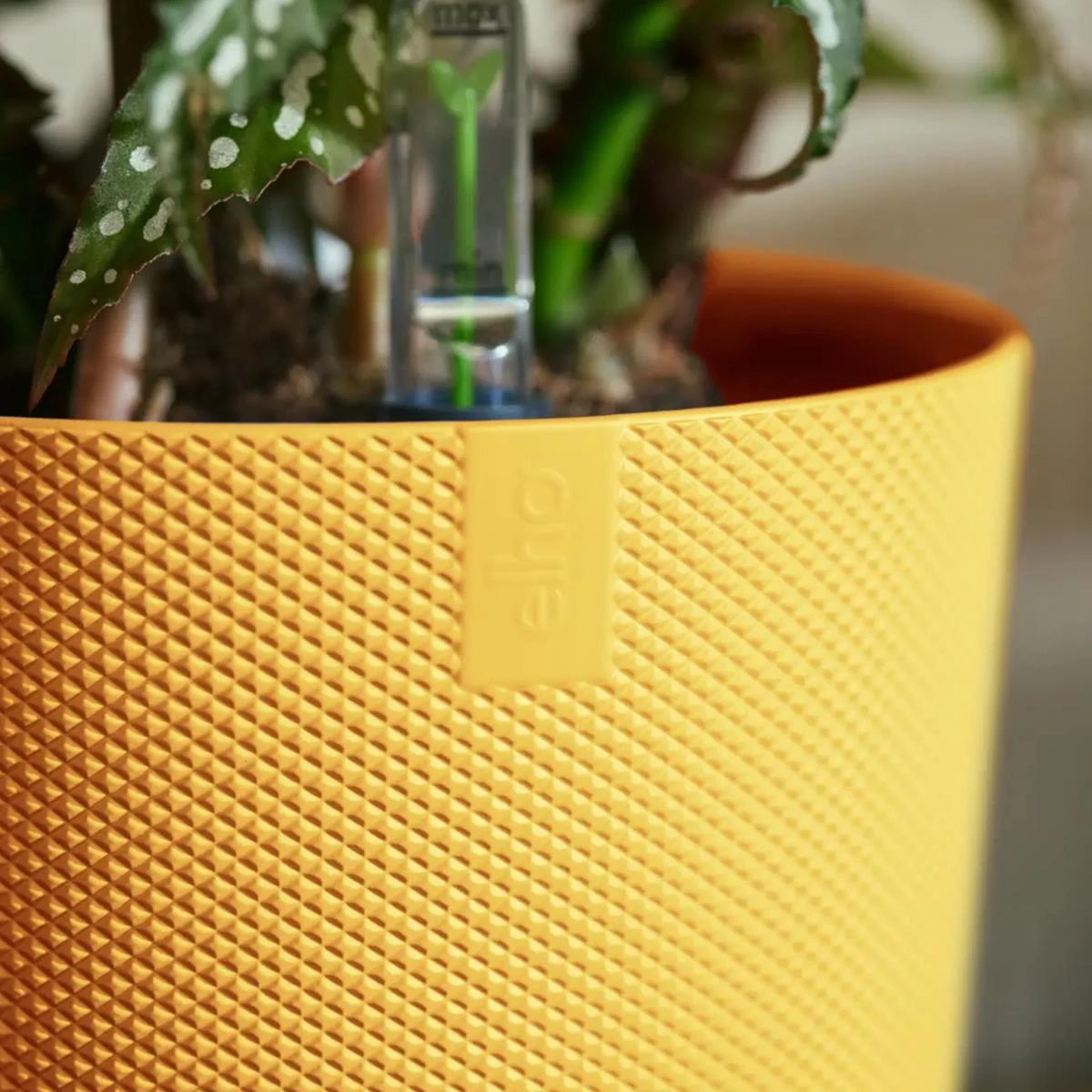 Elho Jazz Bloempot - Ø 26 Cm - Amber Yellow 7 Elho Jazz Bloempot - Ø 26 Cm - Amber Yellow - Afbeelding 5