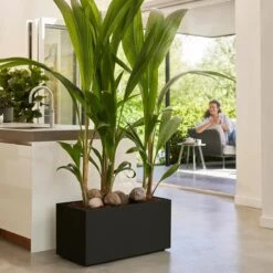 Elho Vivo Next Plantenbak B 80 Cm - Zwart -Tuinwinkel 11597922