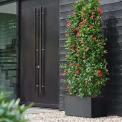 Elho Vivo Next Plantenbak B 80 Cm - Zwart -Tuinwinkel 11597924