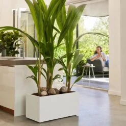 Elho Vivo Next Plantenbak B 60 Cm - Wit -Tuinwinkel 11633048