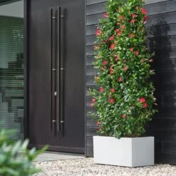 Elho Vivo Next Plantenbak B 60 Cm - Wit -Tuinwinkel 11633069