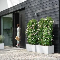 Elho Vivo Next Plantenbak B 60 Cm - Wit -Tuinwinkel 11633073