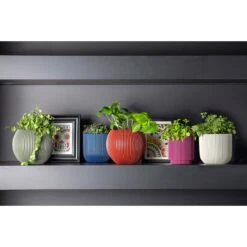 Capi Europe Vaas Cilinder Groove Colours - 8x9 - Beige -Tuinwinkel 11760597