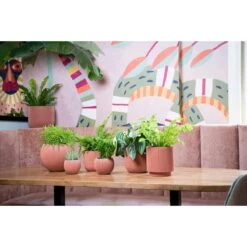 Capi Europe Vaas Cilinder Groove Colours - 8x9 - Beige -Tuinwinkel 11760602