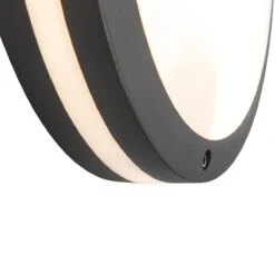 QAZQA Smart Wand- En Plafondlamp Donkergrijs Incl. Wifi A60 - Glow 22 QAZQA Smart Wand- En Plafondlamp Donkergrijs Incl. Wifi A60 - Glow -Tuinwinkel 11769759