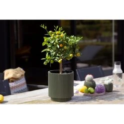 Capi Europe Vaas Cilinder Groove Colours - 8x9 - Beige -Tuinwinkel 11774725