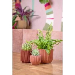 Capi Europe Vaas Cilinder Groove Colours - 8x9 - Beige -Tuinwinkel 11774728