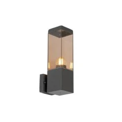 QAZQA Moderne Buiten Wandlamp Donkergrijs Met Smoke - Malios -Tuinwinkel 11787224