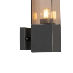 QAZQA Moderne Buiten Wandlamp Donkergrijs Met Smoke - Malios -Tuinwinkel 11790213