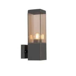 QAZQA Moderne Buiten Wandlamp Donkergrijs Met Smoke - Malios -Tuinwinkel 11790217