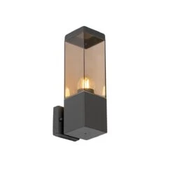 QAZQA Moderne Buiten Wandlamp Donkergrijs Met Smoke - Malios -Tuinwinkel 11790219