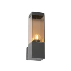 QAZQA Moderne Buiten Wandlamp Donkergrijs Met Smoke - Malios -Tuinwinkel 11790227