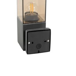 QAZQA Moderne Buiten Wandlamp Donkergrijs Met Smoke - Malios -Tuinwinkel 11790232