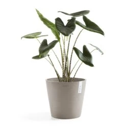 Ecopots Amsterdam Pot Ø 40 Cm - Taupe -Tuinwinkel 9431208