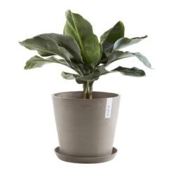 Ecopots Amsterdam Pot Ø 40 Cm - Taupe -Tuinwinkel 9431232