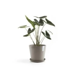 Ecopots Amsterdam Pot Ø 40 Cm - Taupe -Tuinwinkel 9431243