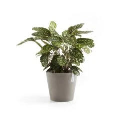 Ecopots Amsterdam Pot Ø 40 Cm - Taupe -Tuinwinkel 9437002