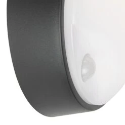 QAZQA Buitenwandlamp Zwart Incl. LED Met Bewegingssensor IP54 - -Tuinwinkel 9459275