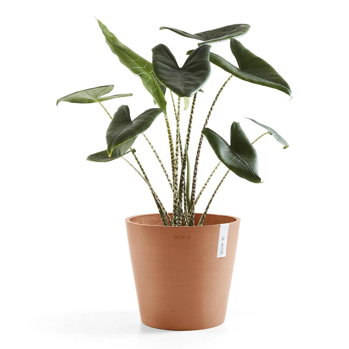 Ecopots Amsterdam 40 4 Ecopots Amsterdam 40 - Afbeelding 2