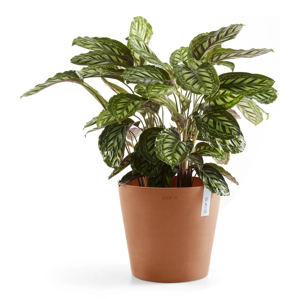 Ecopots Amsterdam 40 6 Ecopots Amsterdam 40 - Afbeelding 4