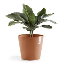 Ecopots Amsterdam 40 14 Ecopots Amsterdam 40 -Tuinwinkel 9479976