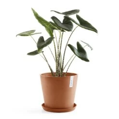 Ecopots Amsterdam 40 17 Ecopots Amsterdam 40 -Tuinwinkel 9479980