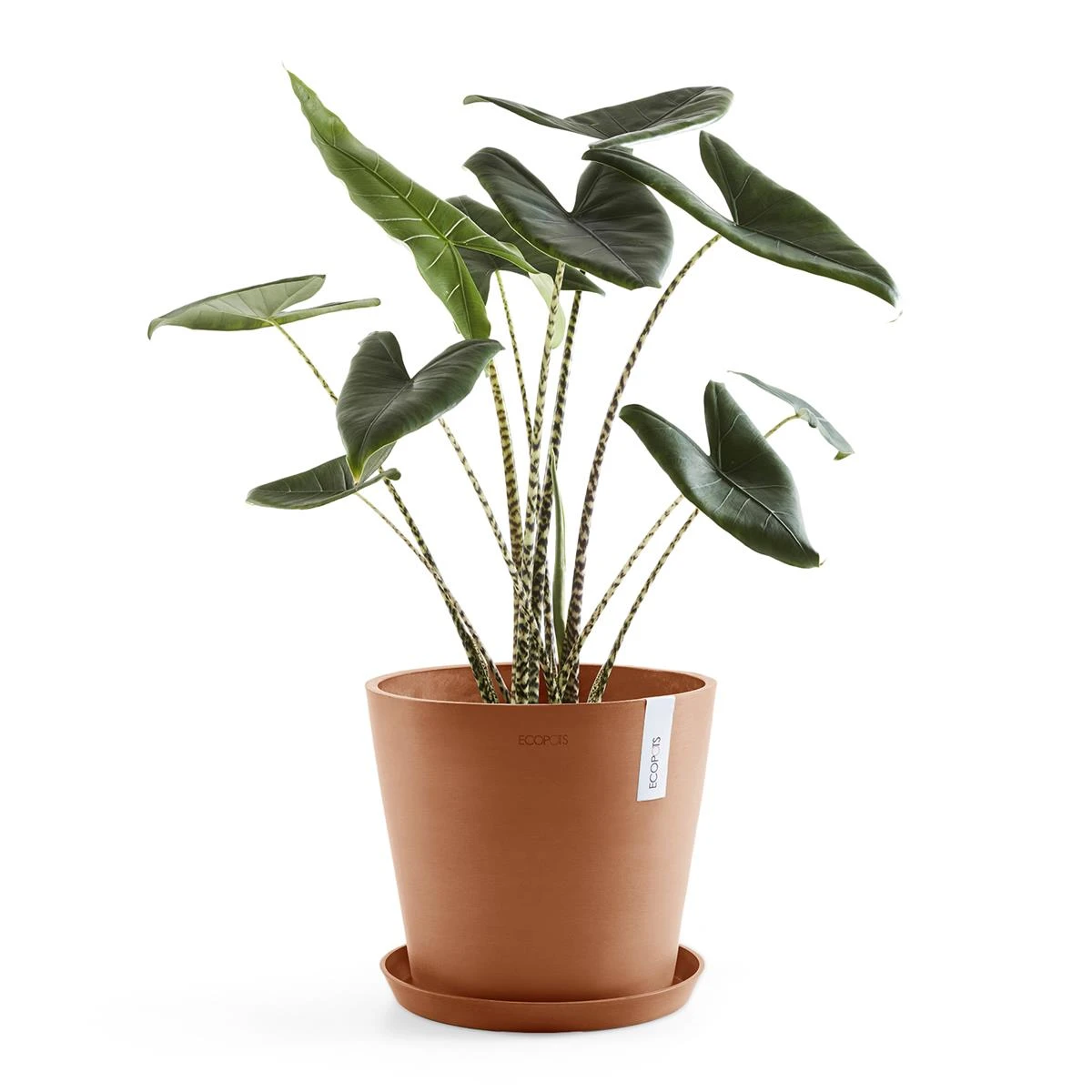 Ecopots Amsterdam 40 8 Ecopots Amsterdam 40 - Afbeelding 6