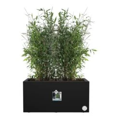 Elho Vivo Next Plantenbak B 80 Cm - Zwart -Tuinwinkel 9486768
